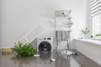 Basement Flooding Services in North Crows Nest, Indiana