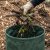 Rocky Ripple Yard Waste Removal by The Cleaning Source, LLC